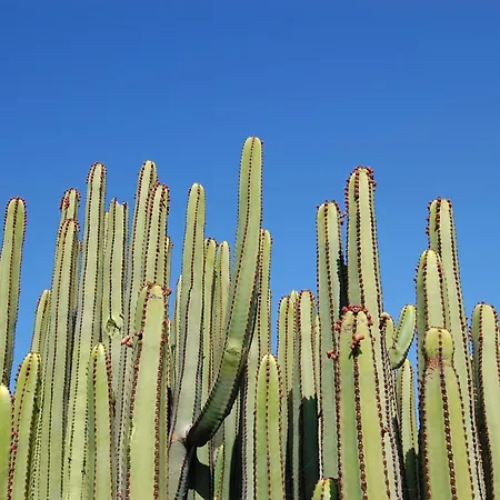 Holiday Home, Maspalomas Hotel 4*